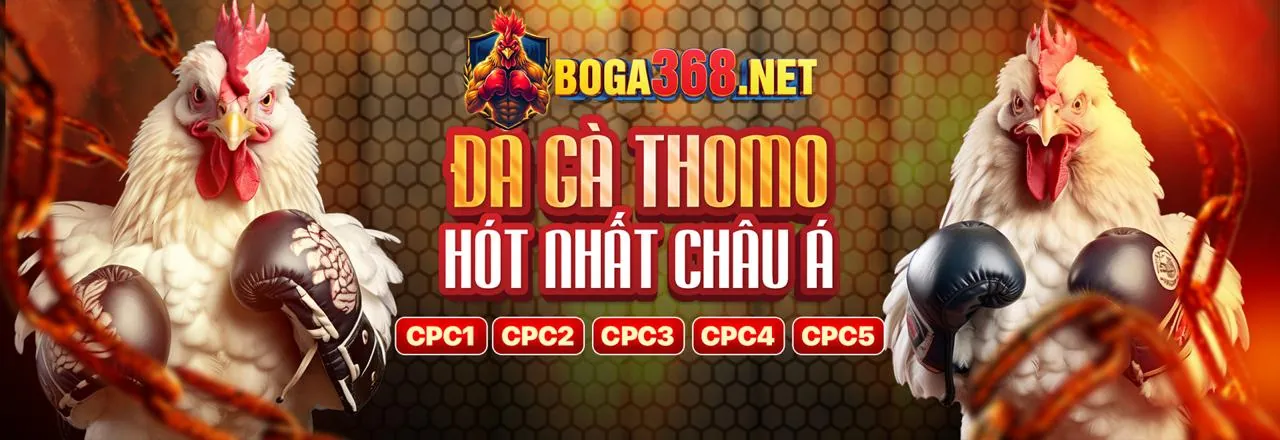 Đội ngũ chuyên nghiệp của bonusfreebet trang chủ